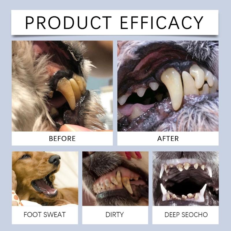 Pet Toothbrush Easy To Use for Dogs Teeth Care Dogs Cats Cleaning Mouth Brush Preventing Bad Breath Tartar Gums Problems