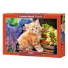 Puzzle castorland 500 pièces - chaton roux - thème animaux