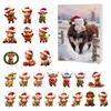 Scottish Highland Cow Advent Calendar Christmas 24 Days Funny Cow Countdown 2D Design Holiday