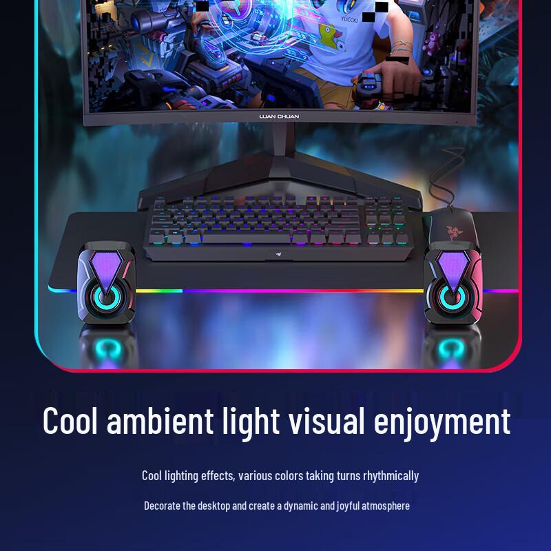 Newman Wired Desktop Computer Speakers