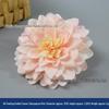 Champagne Silk Imitation Flowers for Hairpins, Hanfu Headdresses, Souvenirs, and Performance Accessories.