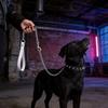 Eco Friendly Pu Leather Dog Lead With Twist Resistant Construction For Pet Outdoors