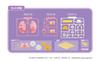Agatsuma (AGATSUMA) Assembled Plastic Doll Candy Factory My Melody MY MELODY (Ages 15 and up) Sanrio