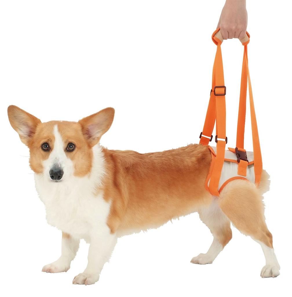 Petio Walking Assistance Harness for Elderly For Back For L Size Dogs, Legs, Medium-sized Dogs,