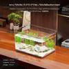 Desktop Eco Fish enclosure, PET aquatic habitat, Transparent Turtle Living Room