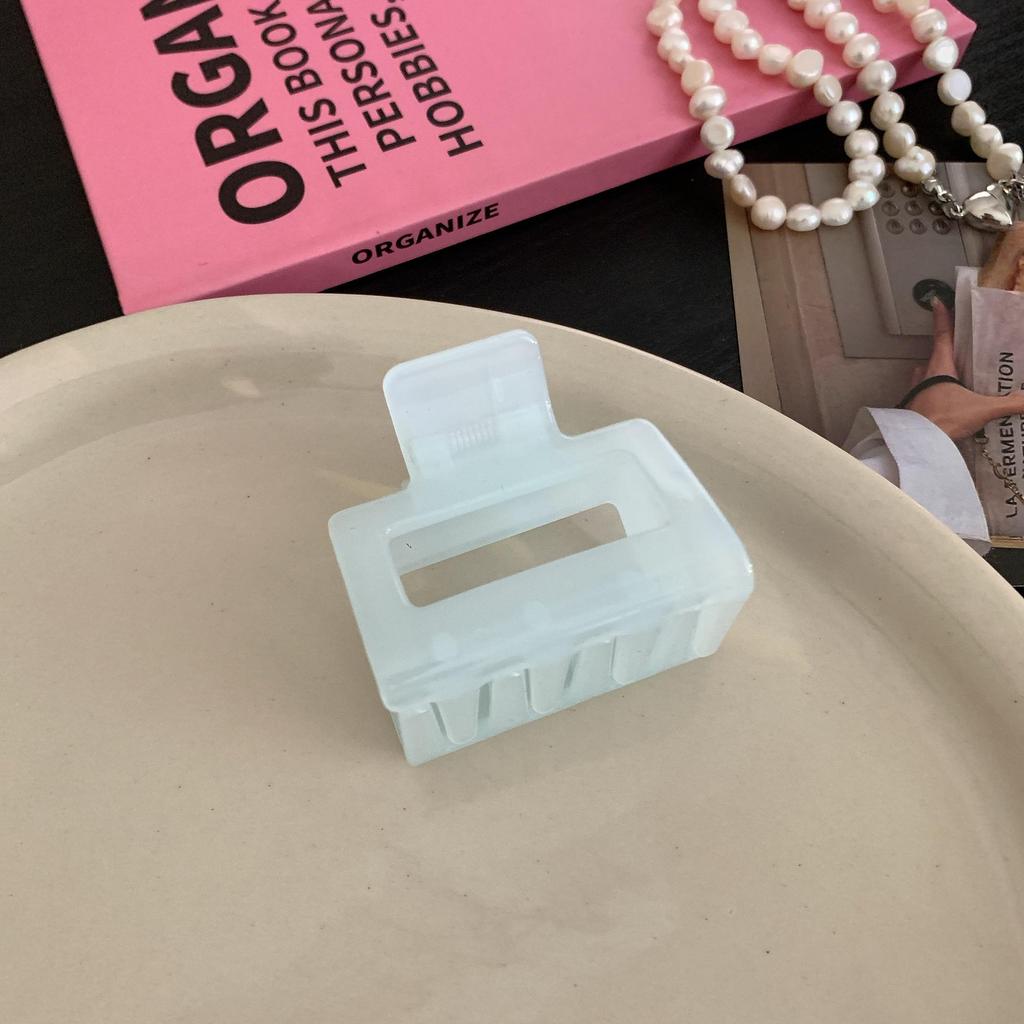 Blue Summer Hair Shark Clip - Simple, Fresh Style Beige Accessory