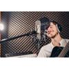 RODE Microphones Microfono a Condensatore NT1-A