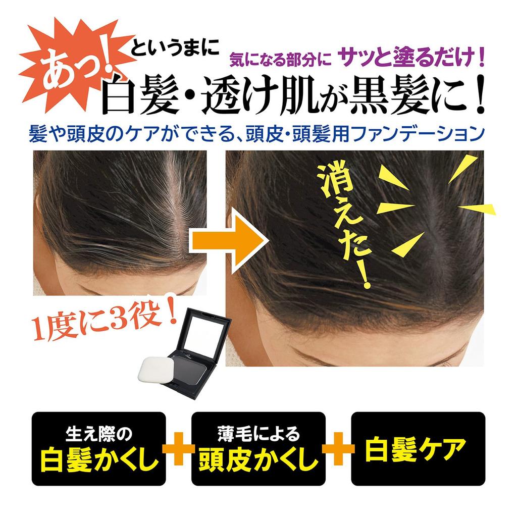 REMAINING Hair Care Foundation Refill <Dark Brown>