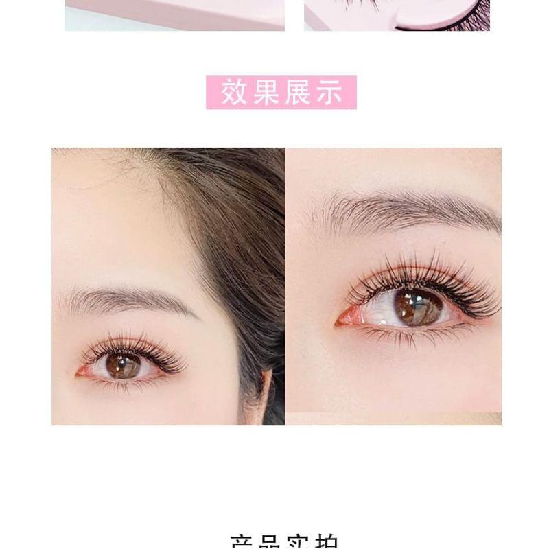 Lashie - Dichtes Multipack Falsche Wimpern