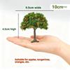 1Pcs DIY Fruit Trees Miniature Landscape Decoration Miniature Sand Table Building Model Realistic Fruit Tree Decor