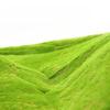 Artificial Turf Moss Simulation Grassland Fake Grass Lawn Carpet Artificial Musgo Turf Synthetic Grass Outdoor Garden Decoration