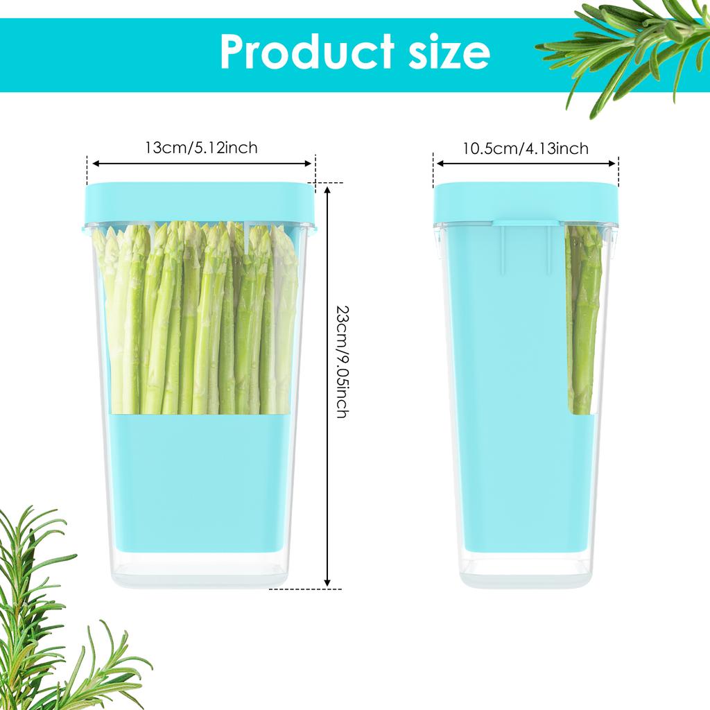 Plastic Refrigerator Transparent Fresh-keeping Container Coriander Mint Multi-purpose Vegetable Efficient Fresh-keeping Box