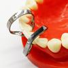 Dental-Kofferdamklemme, Gummi-Barriereklammern Nr. B4 für zwei Eckzähne und Nr. 44 für Vorderzähne