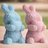 Rose Rabbit Candle Mold for DIY Candle Soap Craft Valentines Gift Easter Party Decorations, Rose Rabbit Candle Molds