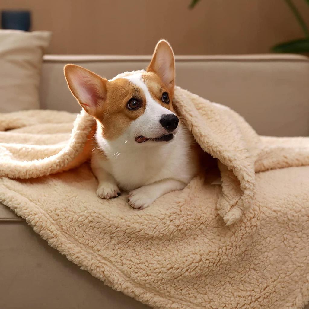 Shu Cotton Double-Sided Pet Blanket for Cats & Dogs - Teddy & Golden Retriever All-Season Mat