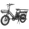 Fafrees FF20 CUV - Vélo cargo électrique - 250 W - 48 V - 24 Ah - Vitesse maximale 25 km/h - Noir - Avec porte-bagages arrière