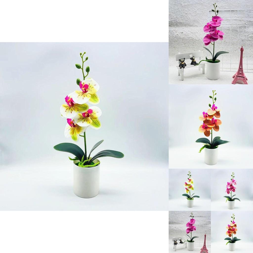Synthetic Butterfly Orchid Bonsai With Pvc Material For Living Room And Office Decoration