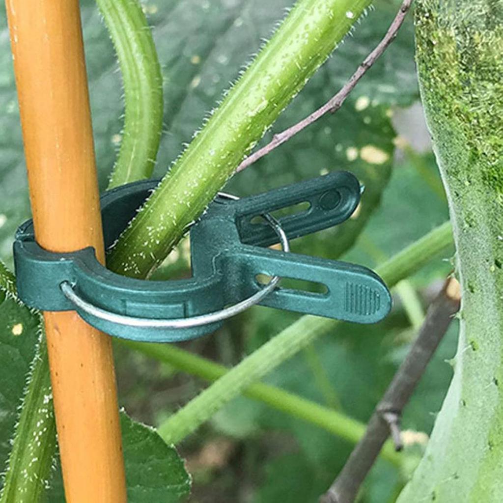 Plant Fixed Support Clips Garden Greenhouse Holders Reusable Plants Climbing Clamps for Flower Vines Tomato Vegetables Fastener
