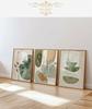 Boho umění,Zemité tóny Nástěnné umění,Sada tří květinových tisků,Minimalistická sada 3 plakátů Botanická sada umění,Rostlinná dekorace,Květinová
