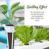 50/100pcs Plant Grow Basket For Aerogarden Plant Hydroponics Soilless Grow Sponges Seed Pods Garden Plant Basket Kit Set
