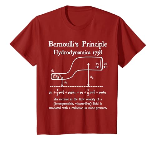 Nerdy Vintage Bernoulli s Principle Physics Math Teacher T-Shirt