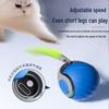 Smart Electric Rolling Cat Toy: Automatic Self-Entertainment Teaser Ball with Cat Teaser Stick