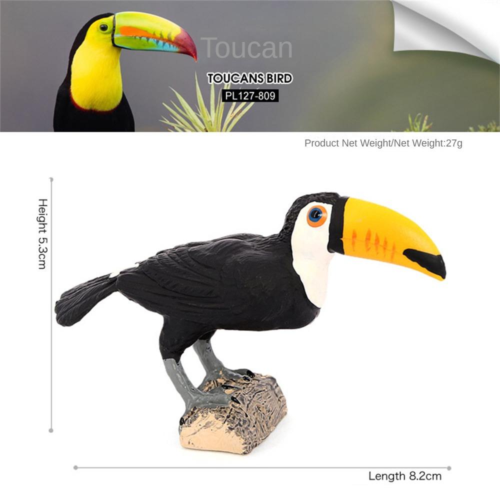 

Дикая Птица Модель Животного Познавательное Образование Животных Для Детей Скульптуры Фигурки Симуляция Диких Птиц Декор Птиц