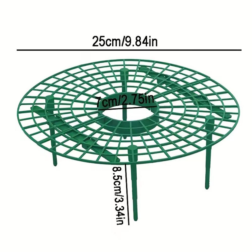 Rack for planting green strawberries, 5/10/20 PCS., with 3 resistant supports, versatile plant for berries and small plants