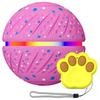 Interactive Pet Bouncy Toy Smart Interactive Remote Controlled Dog Ball with RGB Colorful Lights