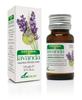 Soria Esencia De Lavanda 15ml