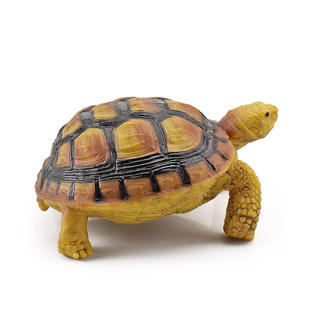 Realistic Turtle Action Figure Lifelike Amphibian Reptile Model Ornaments For Children Gifts Home Decoration