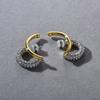 Mode Pendler Muss Einfügen Der Schlichte Ring Mit Diamanten S925 Silbernadel Steckerohrringe, Personalisierte Einzigartige Leichte Luxusohrringe