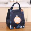 Large-Capacity Lunch Bag Student Cartoon Insulation Bag Office Worker Portable Lunch Box Bag Insulated Waterproof Storage Bag