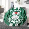Custom Name FC Ingolstadt Team Crest blanket for Couch & Bed, Plush Cozy Fuzzy Blanket Super Soft & Warm Blankets for Fall and Winter. 0908277
