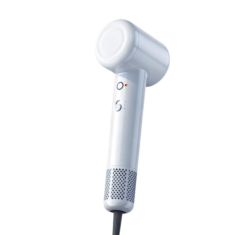 AUX High-Speed Negative Ion Hair Dryer CN plug (adapter included)