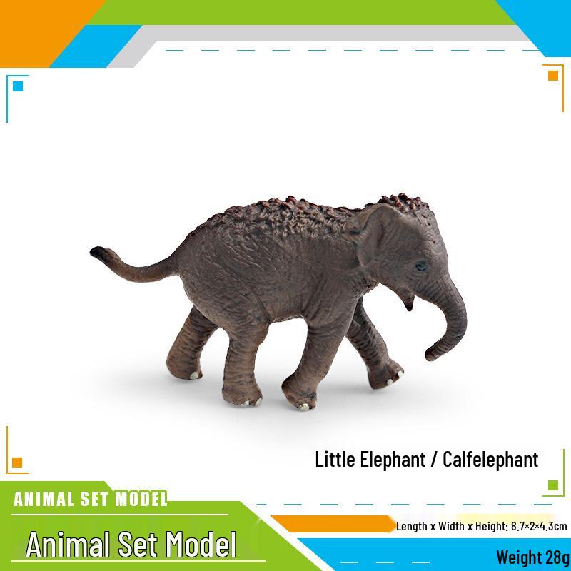 Wild Animal Model: Asian Elephant & Mammoth Children s Cognitive Toy Decoration