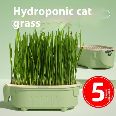 Natürliches Katzengras-Anbauset, Bio-Weizengrassamen, Verdauungsfördernde Haarballen, Blumenerde-Set