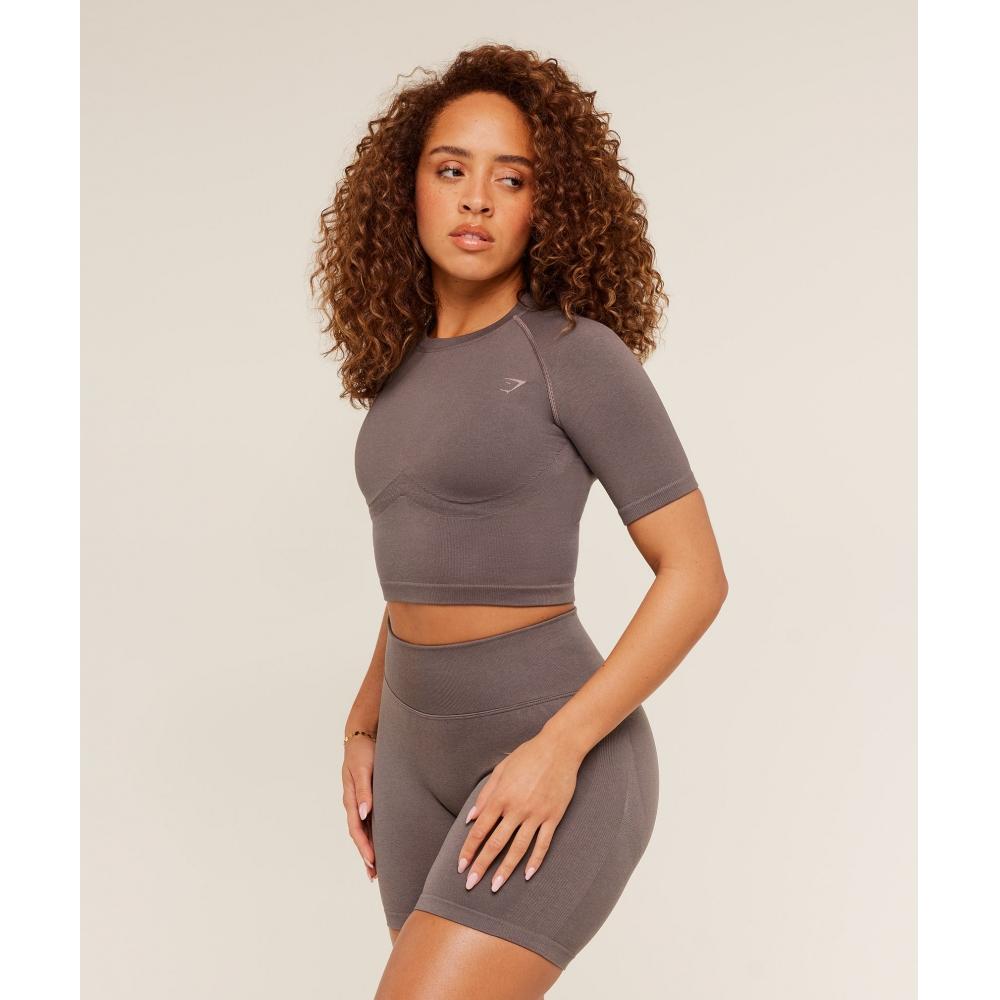 Gymshark Lift Seamless Short Sleeve Top Cool Brown B6b4q Nbzg