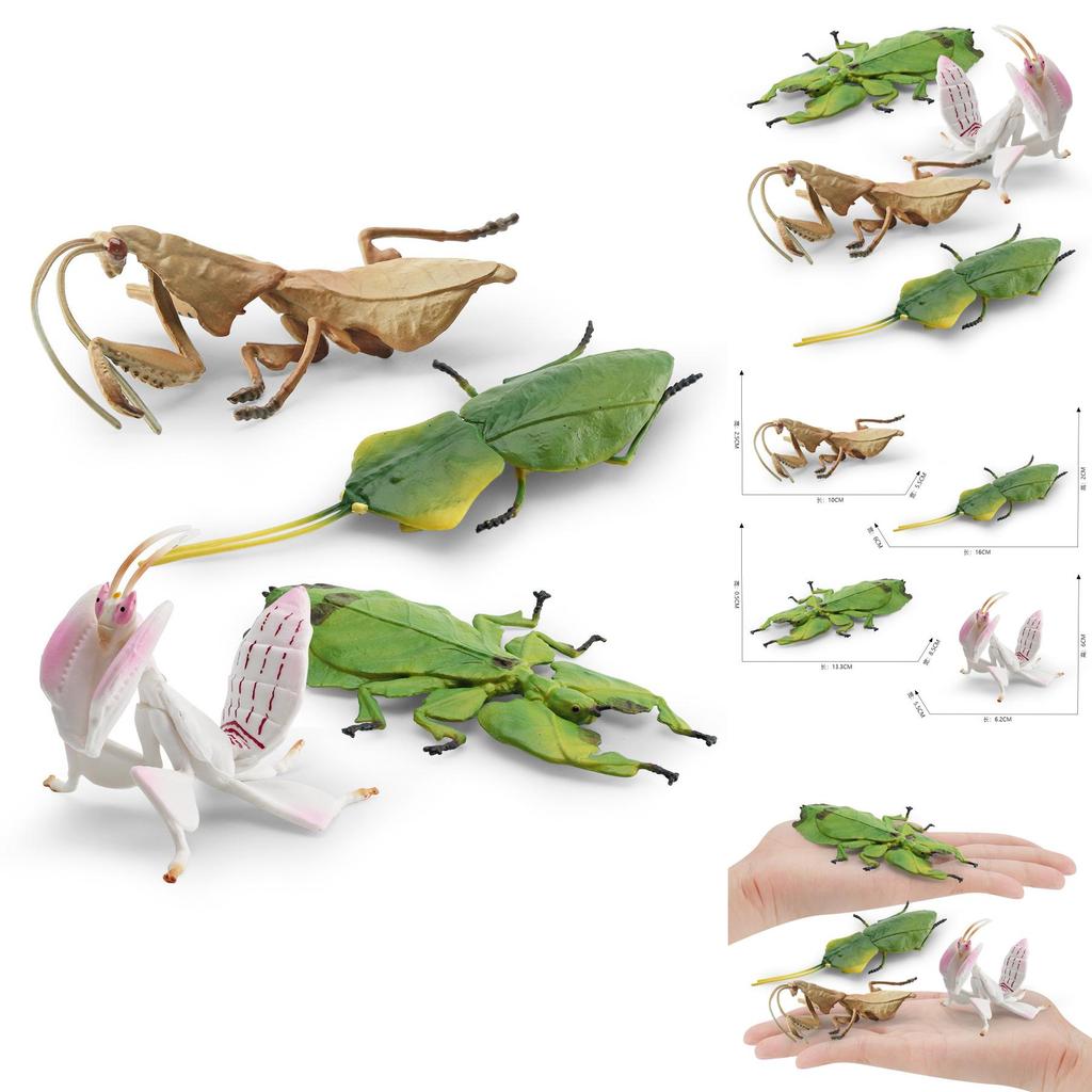 Exquisite Pvc Insect Figures Collection Including Leaf Mantis Stick Insect And Dead Leaf Mantis