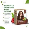 Nisha Natural Henna Powder Hair Colour Dark Brown Semi-Permanent Herbal Dye For Silky Shiny Hair Men Women 60 g Pack Of 2