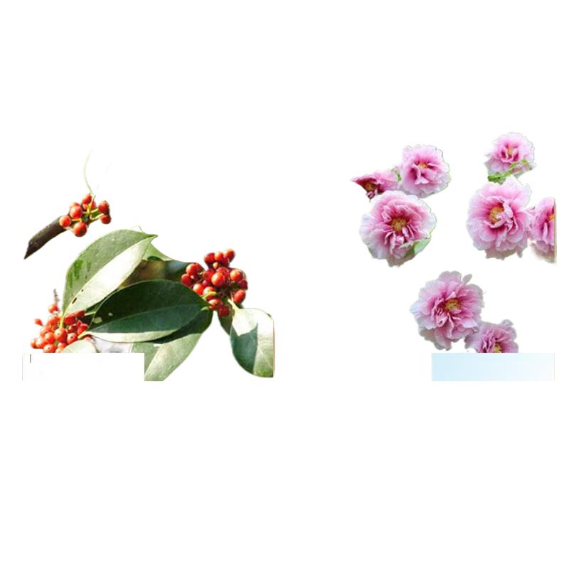 Yaboshi Herbal Toothpaste