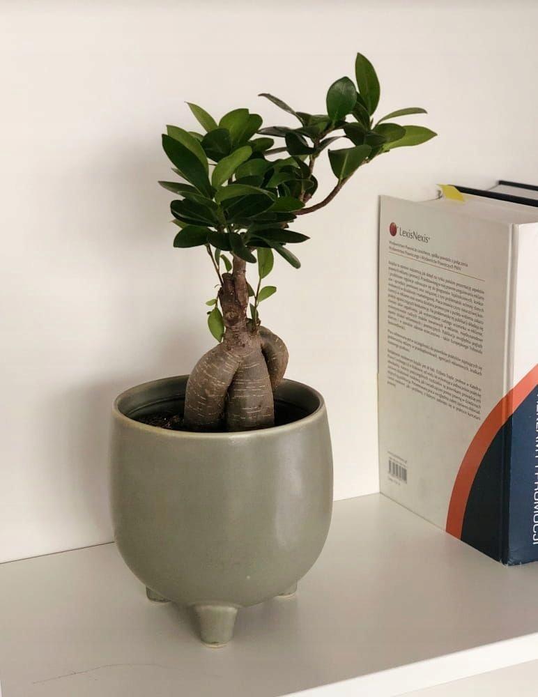 Ceramic flowerpot on legs, 12 cm, olive green