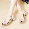 Sandals women's summer new fashion one-word buckle strap thick heel fairy style with skirt Roman women's shoes are not tired