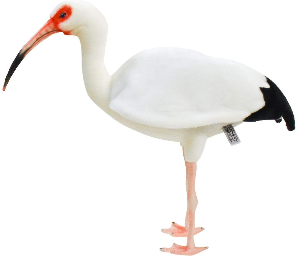 BH8192 HANSA White Ibis 54