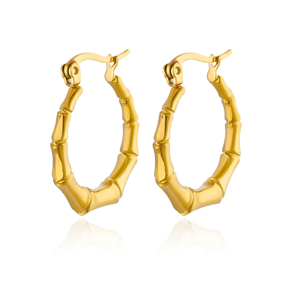 

New In Irregular Vintage Coil Earrings for Women Stainless Steel Earrings 2023 Trending Piercing Luxury Jewelry Christmas Gift