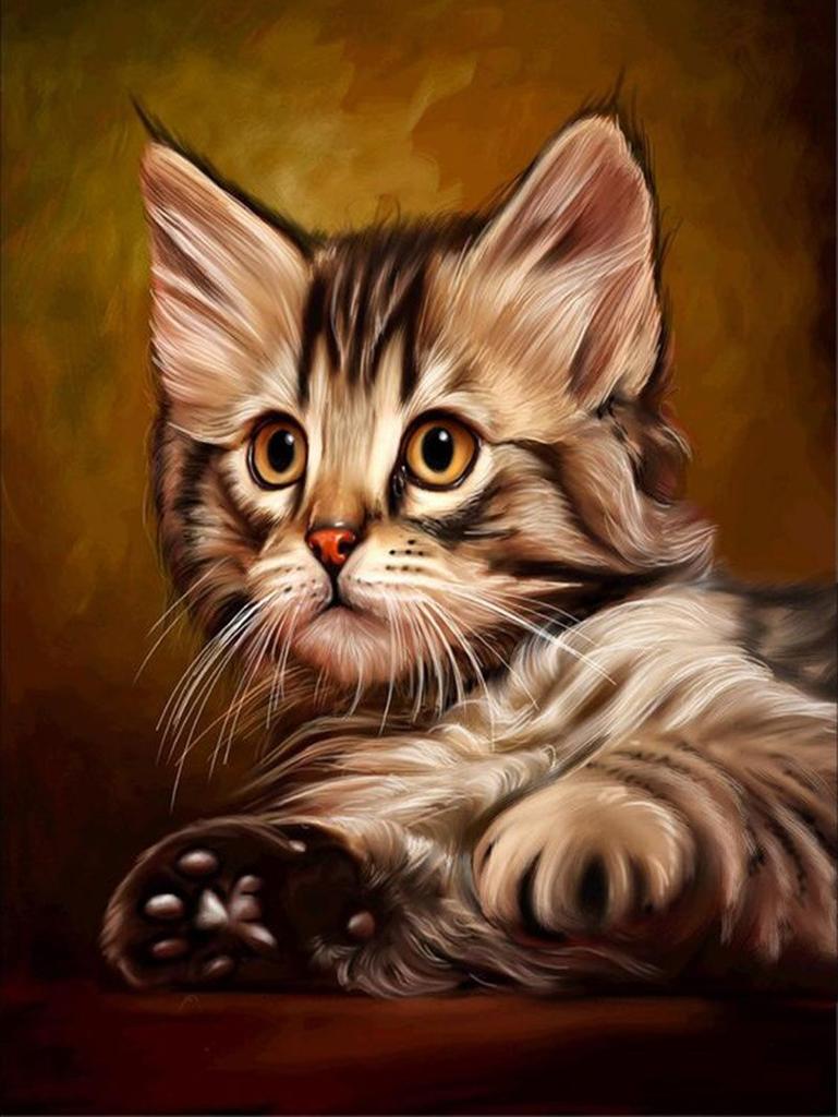 Katt DIY 5D diamantmaleri Hel firkantet/rund borharpiks Dyr Diamont-broderi Kattkorssting Mosaikk Hjemmeinnredning Kunstgave