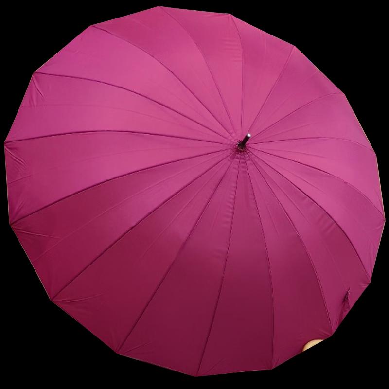 TCAI Long Handle 16-Rib Umbrella