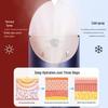 Jindao KD2310 Multi-function Facial Steamer CN plug (adapter included)