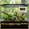 Magnetic Reptile Thermometer High Accurately Feeding Box Thermometer  Reptile Terrarium