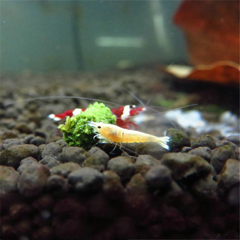 1 sáček 35G Krystalové krmivo pro červené krevety Přírodní špenát Směs složek Akvarijní nádrž Akvarijní krmivo pro krevety